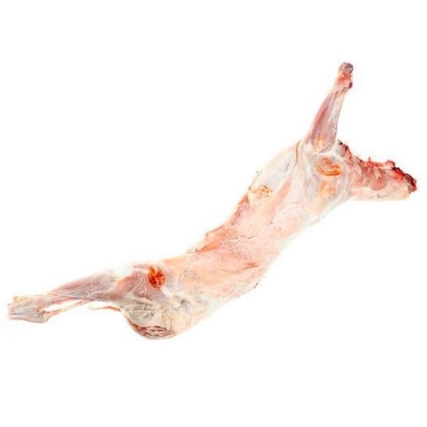 cordero-entero-lechal-fresco carne de calidad